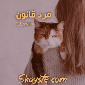 دانلود رمان مرد قانون (جلد اول) به قلم T_L_Swan با لینک مستقیم