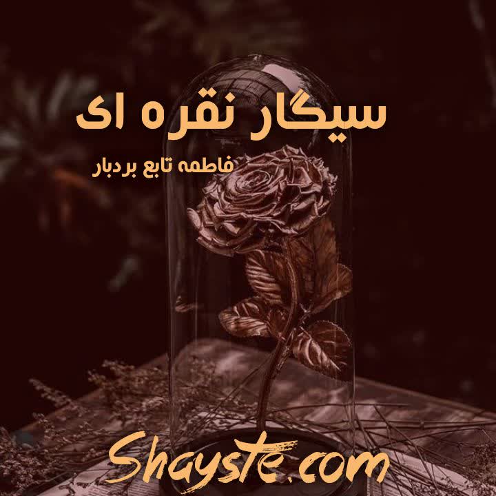 معرفی و دانلود رمان سیگار نقره ای از فاطمه تابع بردار با لینک مستقیم